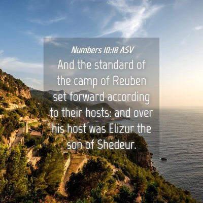 Picture 04 - Numbers 10:18 ASV - And the standard of the camp of Reuben set - Bible Verse Picture