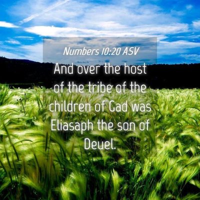 Picture 04 - Numbers 10:20 ASV - And over the host of the tribe of the children of - Bible Verse Picture