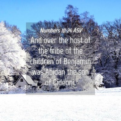 Picture 04 - Numbers 10:24 ASV - And over the host of the tribe of the children of - Bible Verse Picture
