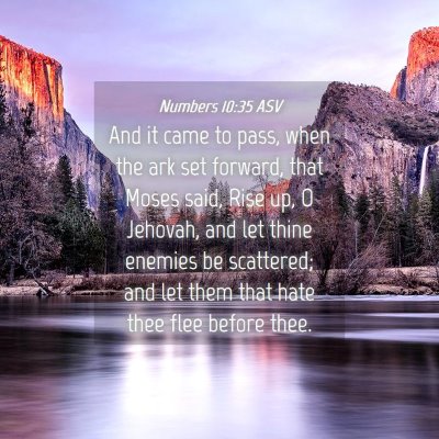 Picture 04 - Numbers 10:35 ASV - And it came to pass, when the ark set forward, - Bible Verse Picture