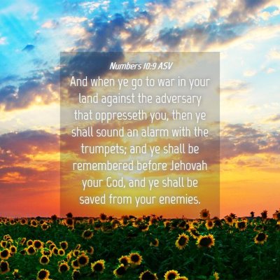 Picture 04 - Numbers 10:9 ASV - And when ye go to war in your land against the - Bible Verse Picture