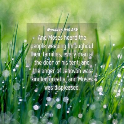 Picture 04 - Numbers 11:10 ASV - And Moses heard the people weeping throughout - Bible Verse Picture