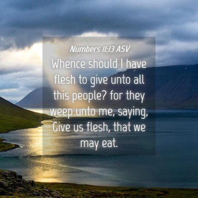 Picture 04 - Numbers 11:13 ASV - Whence should I have flesh to give unto all this - Bible Verse Picture