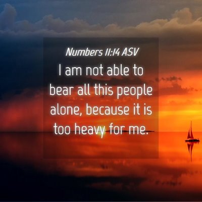 Picture 04 - Numbers 11:14 ASV - I am not able to bear all this people alone, - Bible Verse Picture