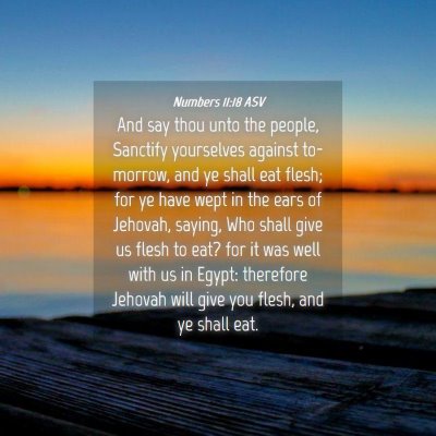 Picture 04 - Numbers 11:18 ASV - And say thou unto the people, Sanctify yourselves - Bible Verse Picture
