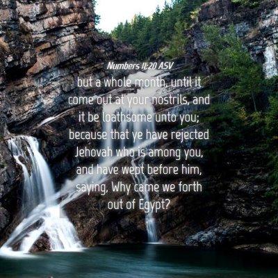 Picture 04 - Numbers 11:20 ASV - but a whole month, until it come out at your - Bible Verse Picture