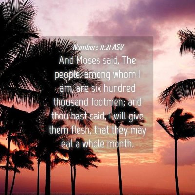 Picture 04 - Numbers 11:21 ASV - And Moses said, The people, among whom I am, are - Bible Verse Picture