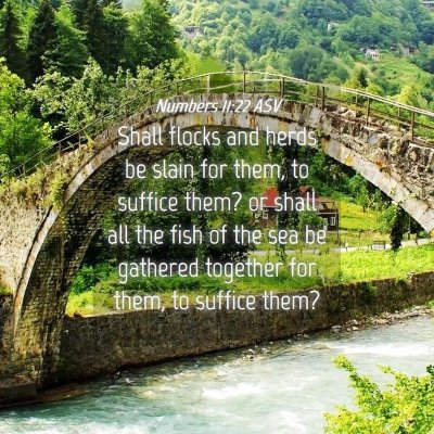 Picture 04 - Numbers 11:22 ASV - Shall flocks and herds be slain for them, to - Bible Verse Picture