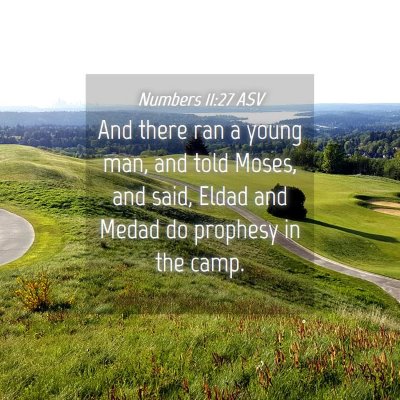 Picture 04 - Numbers 11:27 ASV - And there ran a young man, and told Moses, and - Bible Verse Picture