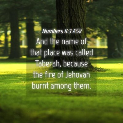 Picture 04 - Numbers 11:3 ASV - And the name of that place was called Taberah, - Bible Verse Picture
