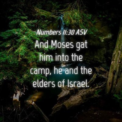 Picture 04 - Numbers 11:30 ASV - And Moses gat him into the camp, he and the - Bible Verse Picture
