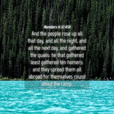 Picture 04 - Numbers 11:32 ASV - And the people rose up all that day, and all the - Bible Verse Picture