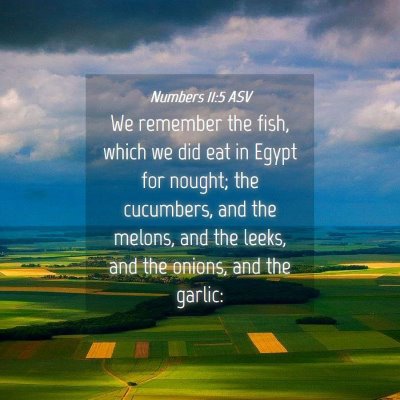 Picture 04 - Numbers 11:5 ASV - We remember the fish, which we did eat in Egypt - Bible Verse Picture