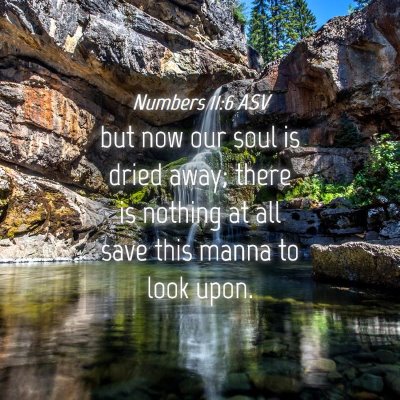Picture 04 - Numbers 11:6 ASV - but now our soul is dried away; there is nothing - Bible Verse Picture