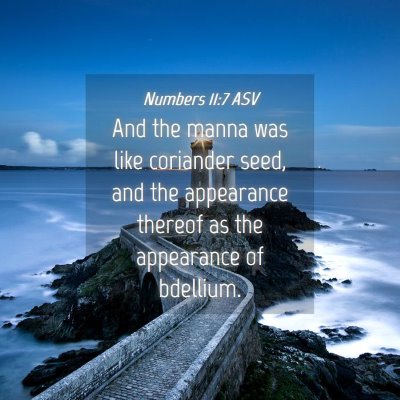 Picture 04 - Numbers 11:7 ASV - And the manna was like coriander seed, and the - Bible Verse Picture