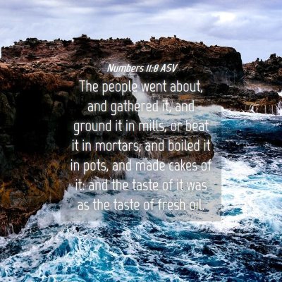 Picture 04 - Numbers 11:8 ASV - The people went about, and gathered it, and - Bible Verse Picture