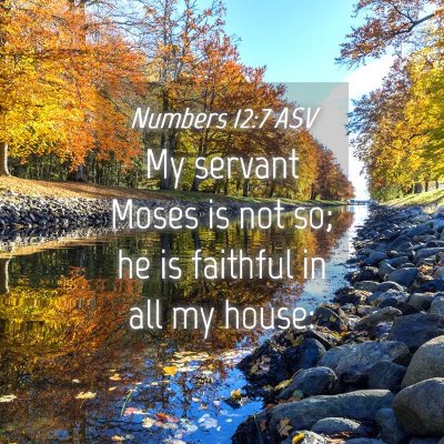 Picture 04 - Numbers 12:7 ASV - My servant Moses is not so; he is faithful in all - Bible Verse Picture