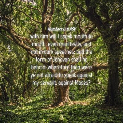Picture 04 - Numbers 12:8 ASV - with him will I speak mouth to mouth, even - Bible Verse Picture