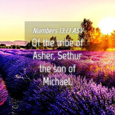 Picture 04 - Numbers 13:13 ASV - Of the tribe of Asher, Sethur the son of - Bible Verse Picture