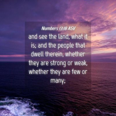 Picture 04 - Numbers 13:18 ASV - and see the land, what it is; and the people that - Bible Verse Picture