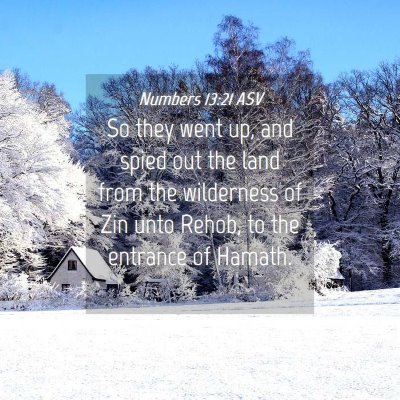 Picture 04 - Numbers 13:21 ASV - So they went up, and spied out the land from the - Bible Verse Picture
