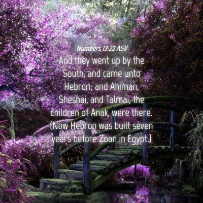 Picture 04 - Numbers 13:22 ASV - And they went up by the South, and came unto - Bible Verse Picture