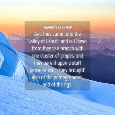 Picture 04 - Numbers 13:23 ASV - And they came unto the valley of Eshcol, and cut - Bible Verse Picture