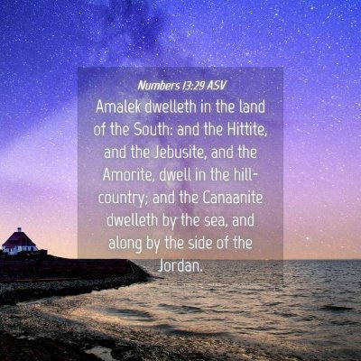 Picture 04 - Numbers 13:29 ASV - Amalek dwelleth in the land of the South: and the - Bible Verse Picture