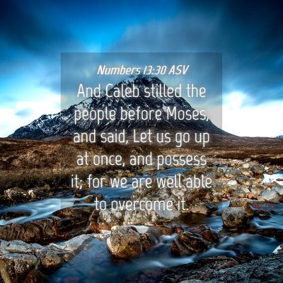 Picture 04 - Numbers 13:30 ASV - And Caleb stilled the people before Moses, and - Bible Verse Picture