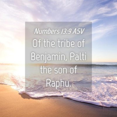Picture 04 - Numbers 13:9 ASV - Of the tribe of Benjamin, Palti the son of - Bible Verse Picture