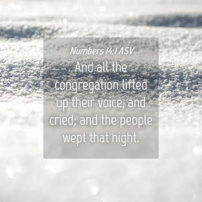 Picture 04 - Numbers 14:1 ASV - And all the congregation lifted up their voice, - Bible Verse Picture