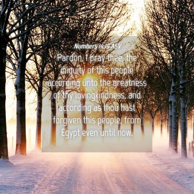 Picture 04 - Numbers 14:19 ASV - Pardon, I pray thee, the iniquity of this people - Bible Verse Picture