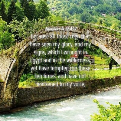 Picture 04 - Numbers 14:22 ASV - because all those men that have seen my glory, - Bible Verse Picture