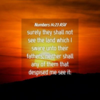 Picture 04 - Numbers 14:23 ASV - surely they shall not see the land which I sware - Bible Verse Picture