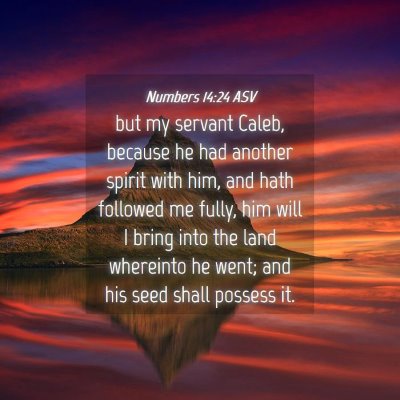 Picture 04 - Numbers 14:24 ASV - but my servant Caleb, because he had another - Bible Verse Picture