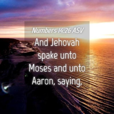 Picture 04 - Numbers 14:26 ASV - And Jehovah spake unto Moses and unto Aaron, - Bible Verse Picture