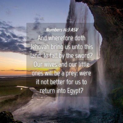 Picture 04 - Numbers 14:3 ASV - And wherefore doth Jehovah bring us unto this - Bible Verse Picture