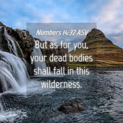 Picture 04 - Numbers 14:32 ASV - But as for you, your dead bodies shall fall in - Bible Verse Picture