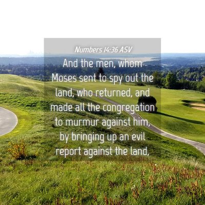 Picture 04 - Numbers 14:36 ASV - And the men, whom Moses sent to spy out the land, - Bible Verse Picture
