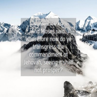 Picture 04 - Numbers 14:41 ASV - And Moses said, Wherefore now do ye transgress - Bible Verse Picture