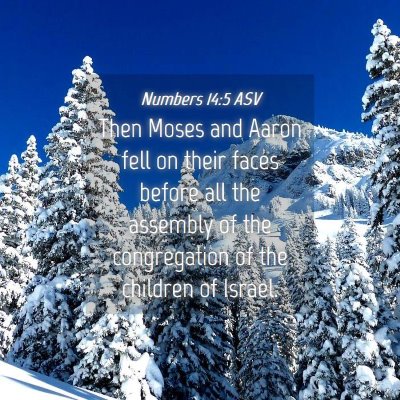 Picture 04 - Numbers 14:5 ASV - Then Moses and Aaron fell on their faces before - Bible Verse Picture