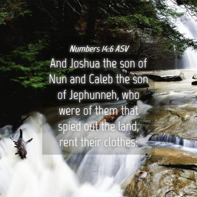 Picture 04 - Numbers 14:6 ASV - And Joshua the son of Nun and Caleb the son of - Bible Verse Picture