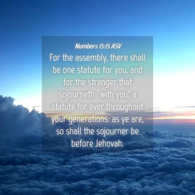 Picture 04 - Numbers 15:15 ASV - For the assembly, there shall be one statute for - Bible Verse Picture