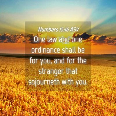 Picture 04 - Numbers 15:16 ASV - One law and one ordinance shall be for you, and - Bible Verse Picture