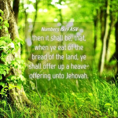 Picture 04 - Numbers 15:19 ASV - then it shall be, that, when ye eat of the bread - Bible Verse Picture