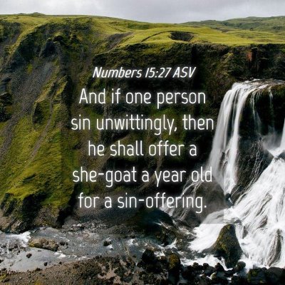 Picture 04 - Numbers 15:27 ASV - And if one person sin unwittingly, then he shall - Bible Verse Picture