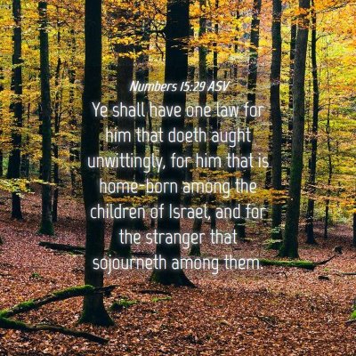 Picture 04 - Numbers 15:29 ASV - Ye shall have one law for him that doeth aught - Bible Verse Picture