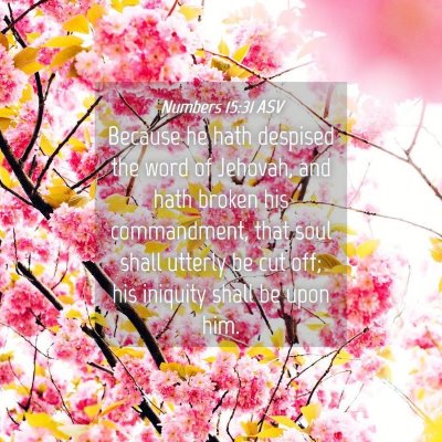 Picture 04 - Numbers 15:31 ASV - Because he hath despised the word of Jehovah, and - Bible Verse Picture