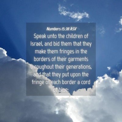 Picture 04 - Numbers 15:38 ASV - Speak unto the children of Israel, and bid them - Bible Verse Picture