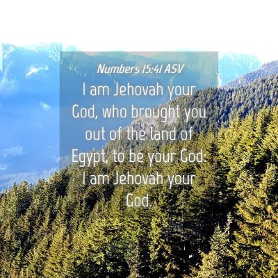 Picture 04 - Numbers 15:41 ASV - I am Jehovah your God, who brought you out of the - Bible Verse Picture